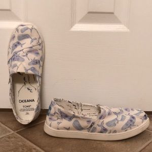 Classic toms oceana edition